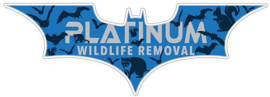 Plainfield Animal Removal